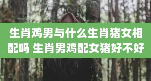 生肖鸡男与什么生肖猪女相配吗 生肖男鸡配女猪好不好