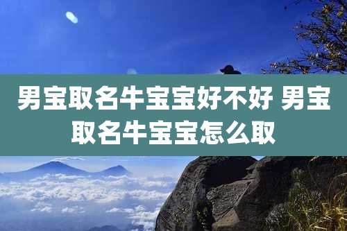 男宝取名牛宝宝好不好 男宝取名牛宝宝怎么取