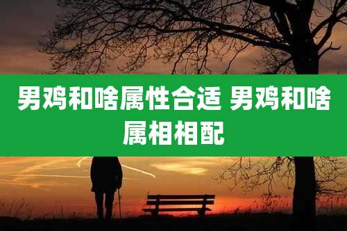 男鸡和啥属性合适 男鸡和啥属相相配