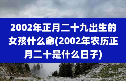 2002年正月二十九出生的女孩什么命(2002年农历正月二十是什么日子)