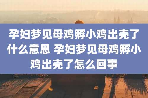 孕妇梦见母鸡孵小鸡出壳了什么意思 孕妇梦见母鸡孵小鸡出壳了怎么回事