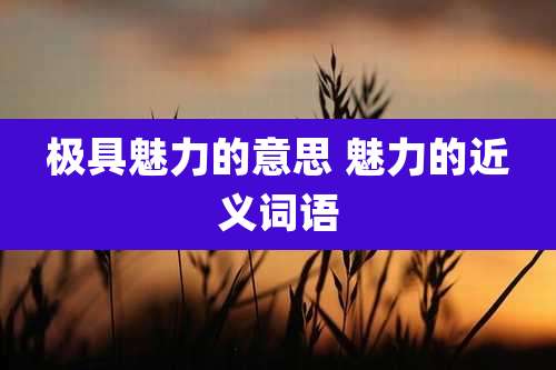 极具魅力的意思 魅力的近义词语