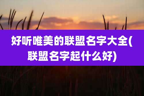 好听唯美的联盟名字大全(联盟名字起什么好)
