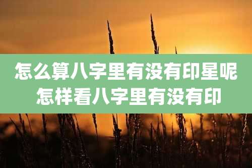 怎么算八字里有没有印星呢 怎样看八字里有没有印