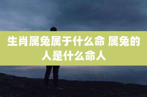 生肖属兔属于什么命 属兔的人是什么命人