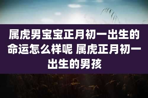 属虎男宝宝正月初一出生的命运怎么样呢 属虎正月初一出生的男孩