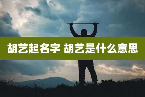 胡艺起名字 胡艺是什么意思