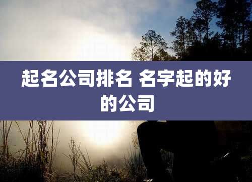 起名公司排名 名字起的好的公司