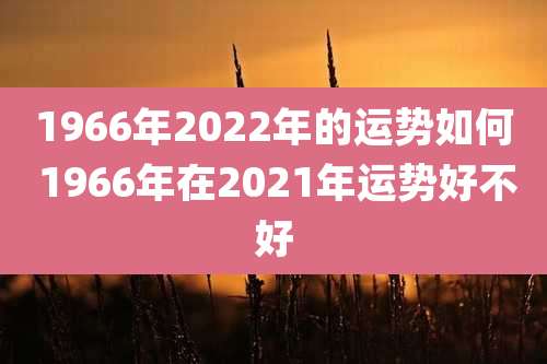 1966年2022年的运势如何 1966年在2021年运势好不好