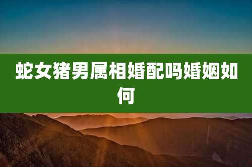 蛇女猪男属相婚配吗婚姻如何