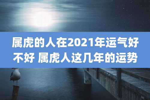 属虎的人在2021年运气好不好 属虎人这几年的运势