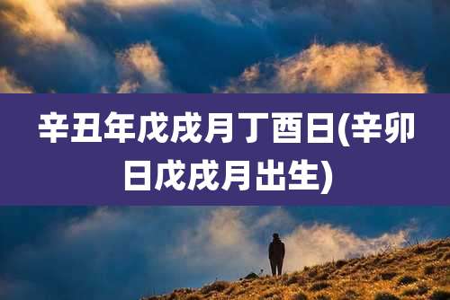 辛丑年戊戌月丁酉日(辛卯日戊戌月出生)