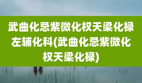 武曲化忌紫微化权天梁化禄左辅化科(武曲化忌紫微化权天梁化禄)