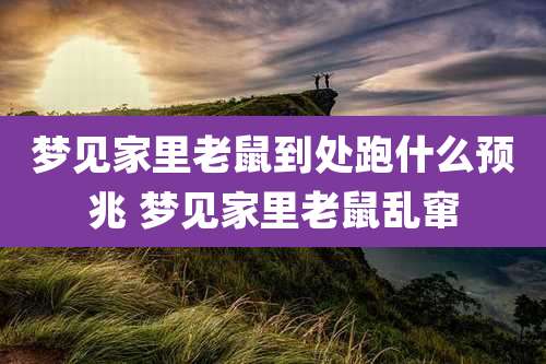 梦见家里老鼠到处跑什么预兆 梦见家里老鼠乱窜