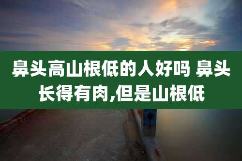 鼻头高山根低的人好吗 鼻头长得有肉,但是山根低