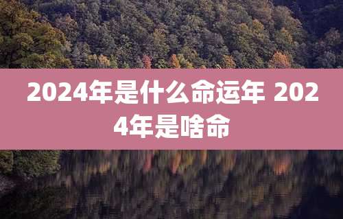2024年是什么命运年 2024年是啥命