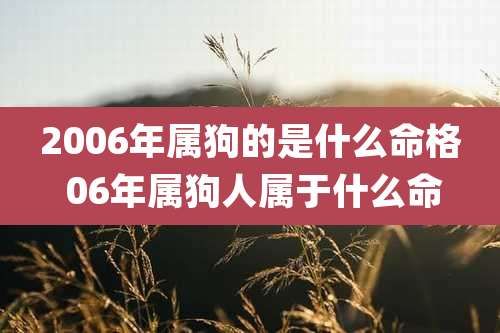 2006年属狗的是什么命格 06年属狗人属于什么命