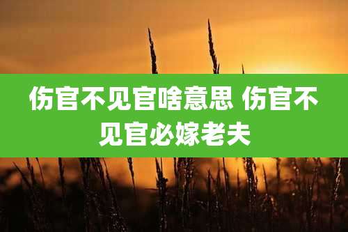 伤官不见官啥意思 伤官不见官必嫁老夫