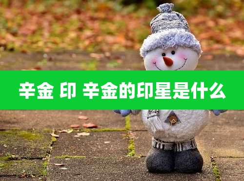 辛金 印 辛金的印星是什么