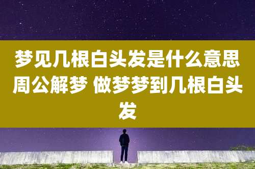 梦见几根白头发是什么意思周公解梦 做梦梦到几根白头发