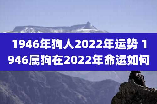 1946年狗人2022年运势 1946属狗在2022年命运如何