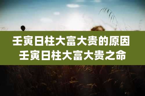 壬寅日柱大富大贵的原因 壬寅日柱大富大贵之命