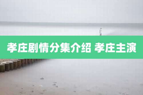 孝庄剧情分集介绍 孝庄主演
