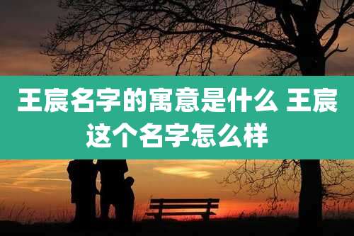王宸名字的寓意是什么 王宸这个名字怎么样