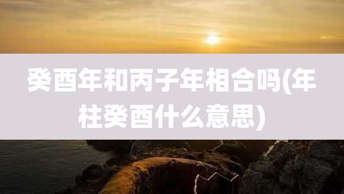 癸酉年和丙子年相合吗(年柱癸酉什么意思)