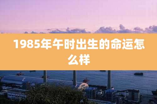 1985年午时出生的命运怎么样