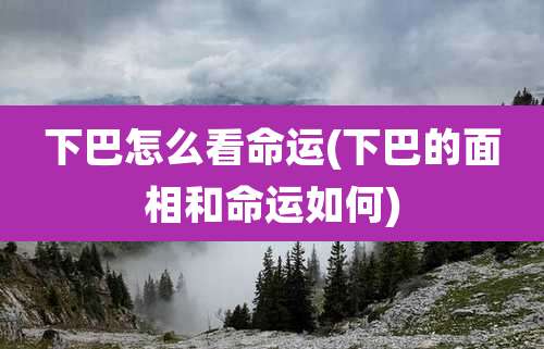 下巴怎么看命运(下巴的面相和命运如何)