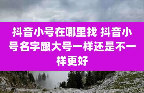 抖音小号在哪里找 抖音小号名字跟大号一样还是不一样更好