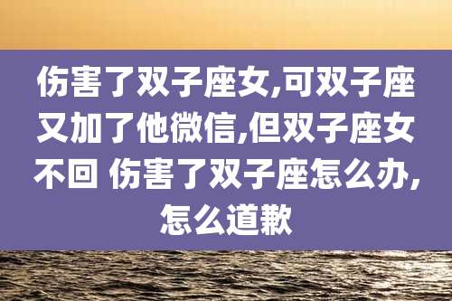 伤害了双子座女,可双子座又加了他微信,但双子座女不回 伤害了双子座怎么办,怎么道歉