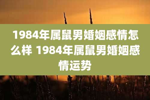 1984年属鼠男婚姻感情怎么样 1984年属鼠男婚姻感情运势