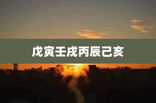 戊寅壬戌丙辰己亥