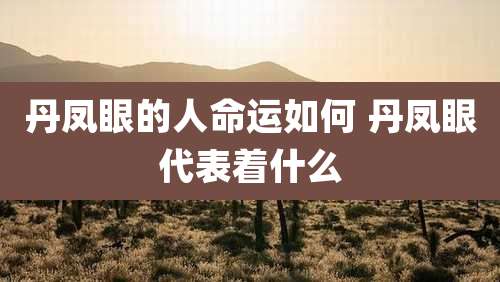 丹凤眼的人命运如何 丹凤眼代表着什么