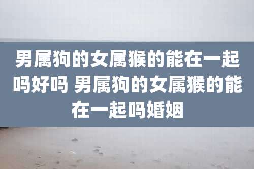 男属狗的女属猴的能在一起吗好吗 男属狗的女属猴的能在一起吗婚姻