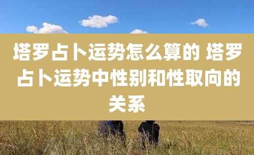 塔罗占卜运势怎么算的 塔罗占卜运势中性别和性取向的关系