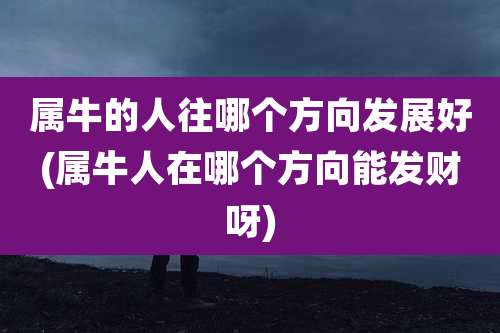 属牛的人往哪个方向发展好(属牛人在哪个方向能发财呀)
