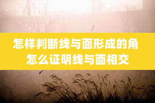 怎样判断线与面形成的角 怎么证明线与面相交