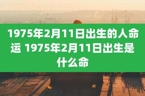 1975年2月11日出生的人命运 1975年2月11日出生是什么命