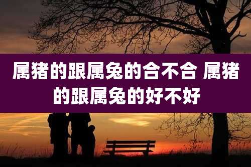 属猪的跟属兔的合不合 属猪的跟属兔的好不好