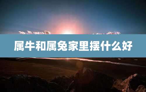 属牛和属兔家里摆什么好