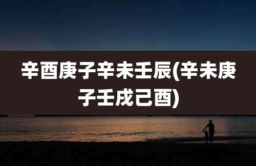 辛酉庚子辛未壬辰(辛未庚子壬戌己酉)