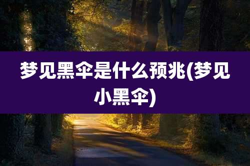 梦见黑伞是什么预兆(梦见小黑伞)