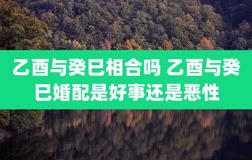 乙酉与癸巳相合吗 乙酉与癸巳婚配是好事还是恶性