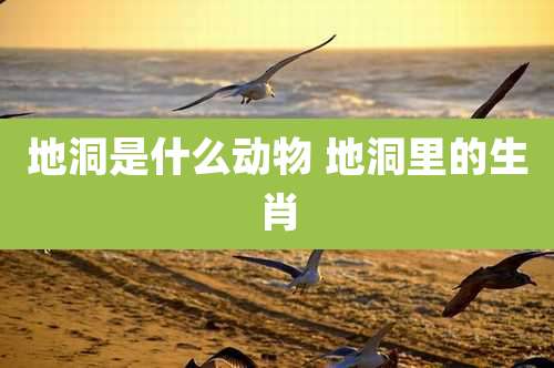 地洞是什么动物 地洞里的生肖