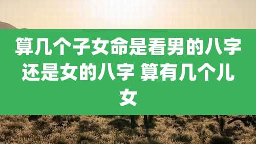 算几个子女命是看男的八字还是女的八字 算有几个儿女