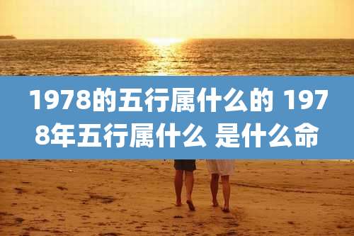 1978的五行属什么的 1978年五行属什么 是什么命