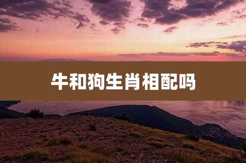 牛和狗生肖相配吗